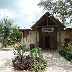 Safari Africa - Restrooms + Meerkat Exhibit