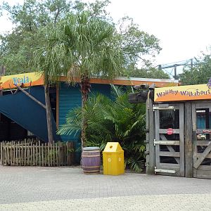 Wallaroo Station - Koala + Wallaby Exhibits