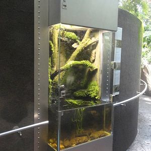 Exhibit in the Forest Gallery