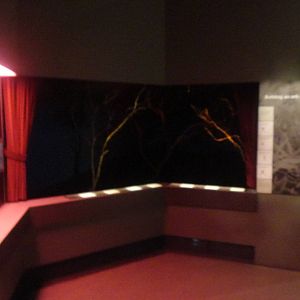 Open-fronted Orb Weaver Exhibit