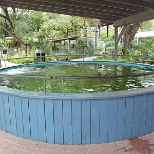 Wallaroo Station - Koi Pool