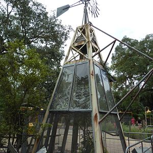 Wallaroo Station - Prehensile-Tailed Skink/Bali Mynah Exhibit
