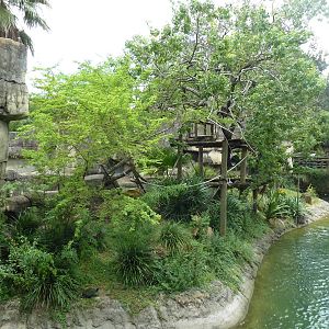 Primate World - Ring-Tailed Lemur/Collared Lemur Exhibit