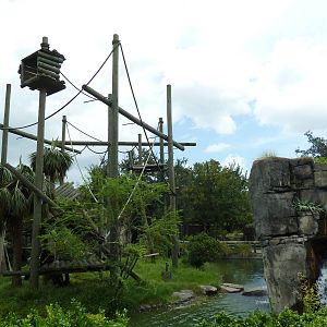 Primate World - Siamang Exhibit