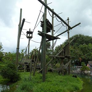 Primate World - Siamang Exhibit