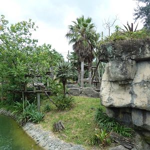 Primate World - Ring-Tailed Lemur/Collared Lemur Exhibit
