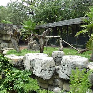 Primate World - Chimpanzee Exhibit