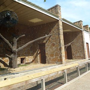 1936 Primates, Reptiles + Birds Building - Primate Exhibits