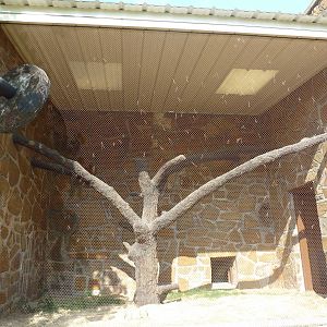 1936 Primates, Reptiles + Birds Building - Primate Exhibit