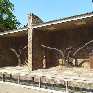 1936 Primates, Reptiles + Birds Building - Primate Exhibit