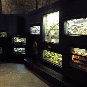 1936 Primates, Reptiles + Birds Building - Reptile Exhibits