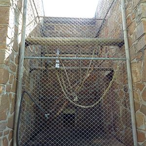 1936 Primates, Reptiles + Birds Building - Primate Exhibit