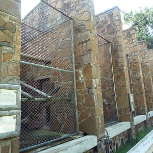 1936 Primates, Reptiles + Birds Building - Primate Exhibits