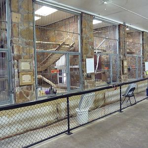 1936 Primates, Reptiles + Birds Building - Primate Exhibits
