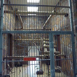 1936 Primates, Reptiles + Birds Building - Primate Exhibit