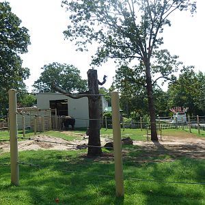 Asian Elephant Exhibit
