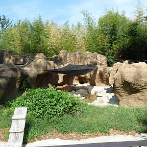 African Spotted-Necked Otter Exhibit