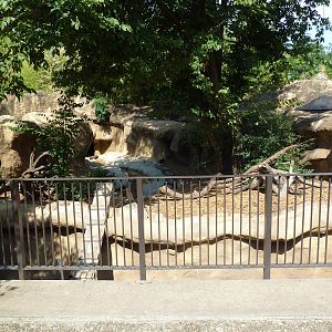 North American River Otter Exhibit