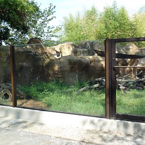 North American River Otter Exhibit