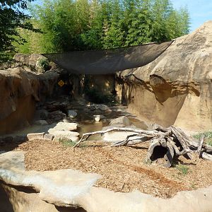 North American River Otter Exhibit #2