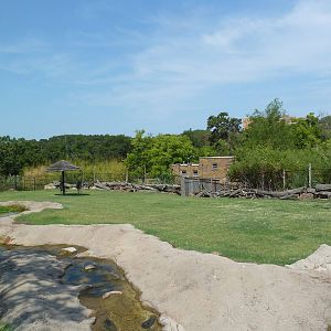 Greater Kudu/Ankole Cattle/Crowned Crane Exhibit