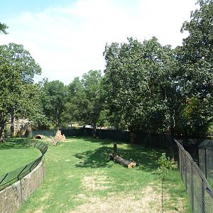 Cheetah Exhibit (New in 2012)