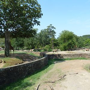 Rhino Rotational + Reticulated Giraffe Exhibits