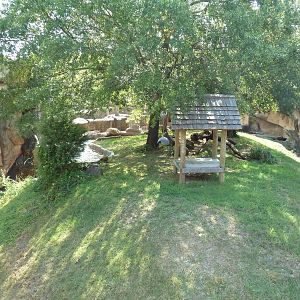 Jaguar Exhibit (Open-Topped)