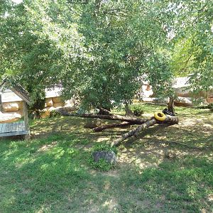 Jaguar Exhibit (Open-Topped)