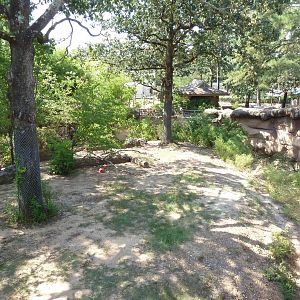 Malayan Tiger Exhibit