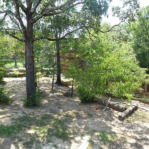 Malayan Tiger Exhibit