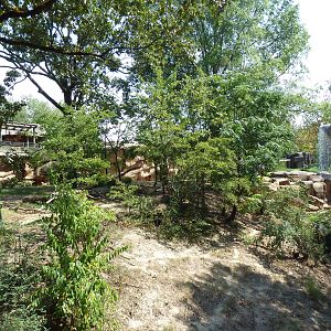 Malayan Tiger Exhibit