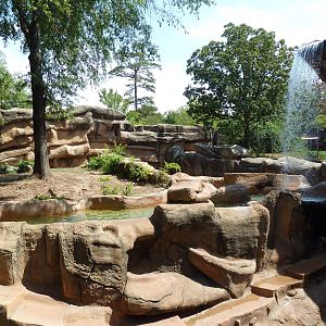 Malayan Tiger Exhibit