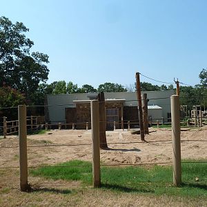 Asian Elephant Exhibit