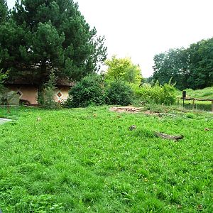 Meerkat/Squirrel Enclosure at Dvur Kralove, 26/08/12