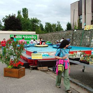 What Everyone Goes to the Zoo For at Dvur Kralove, 26/08/12