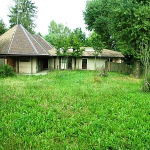 Okapi/Duiker Paddock at Dvur Kralove, 26/08/12