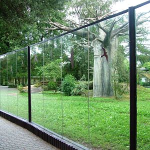 Hyaena Enclosure at Dvur Kralove, 26/08/12