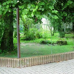 Fox Exhibit at Dvur Kralove, 26/08/12