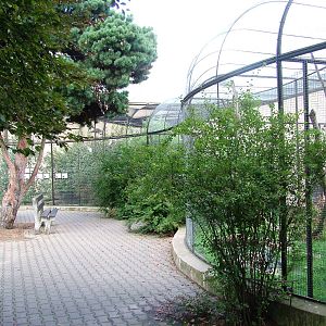 Aviaries at Dvur Kralove, 27/08/12