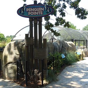 Penguin Pointe (New in 2011)