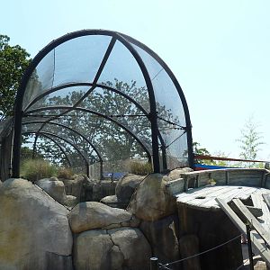 Penguin Pointe (New in 2011)