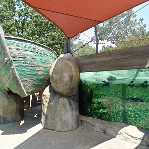 Penguin Pointe (New in 2011)