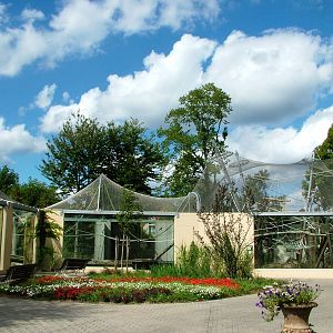 Langur/Orang Outdoor Exhibits at Dvur Kralove, 27/08/12