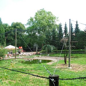 Flamingo Exhibit at Dvur Kralove, 27/08/12