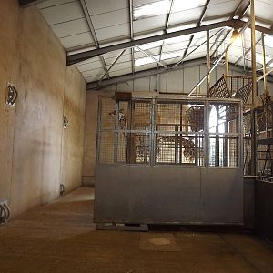 Giraffe exhibit at Knowsley Safari Park 08/09/12