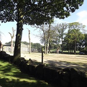 Giraffe exhibit at Knowsley Safari Park 08/09/12