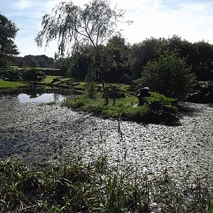 Otter exhibit at Knowsley Safari Park 08/09/12