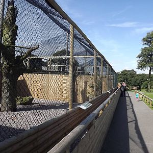 Raptor experience at Knowsley Safari Park 08/09/12