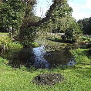 Otter exhibit at Knowsley Safari Park 08/09/12